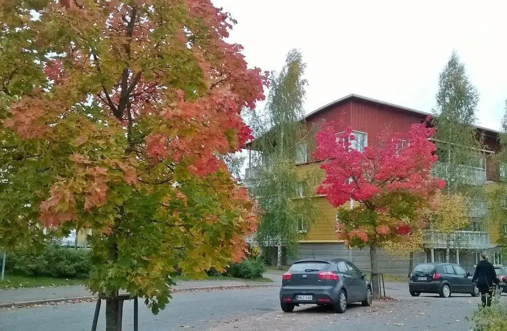Pinjakoti