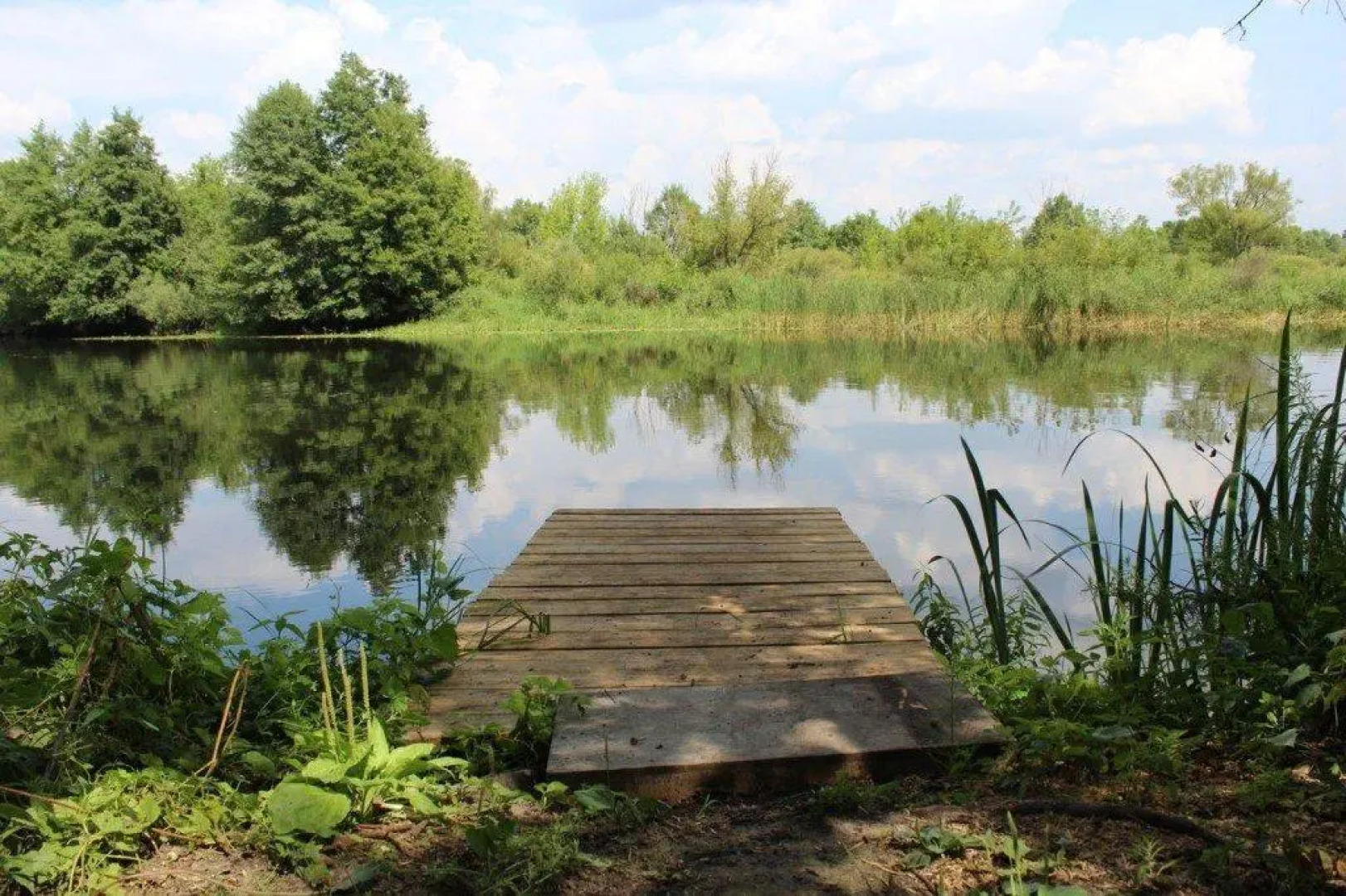 Хутор Калина Красная