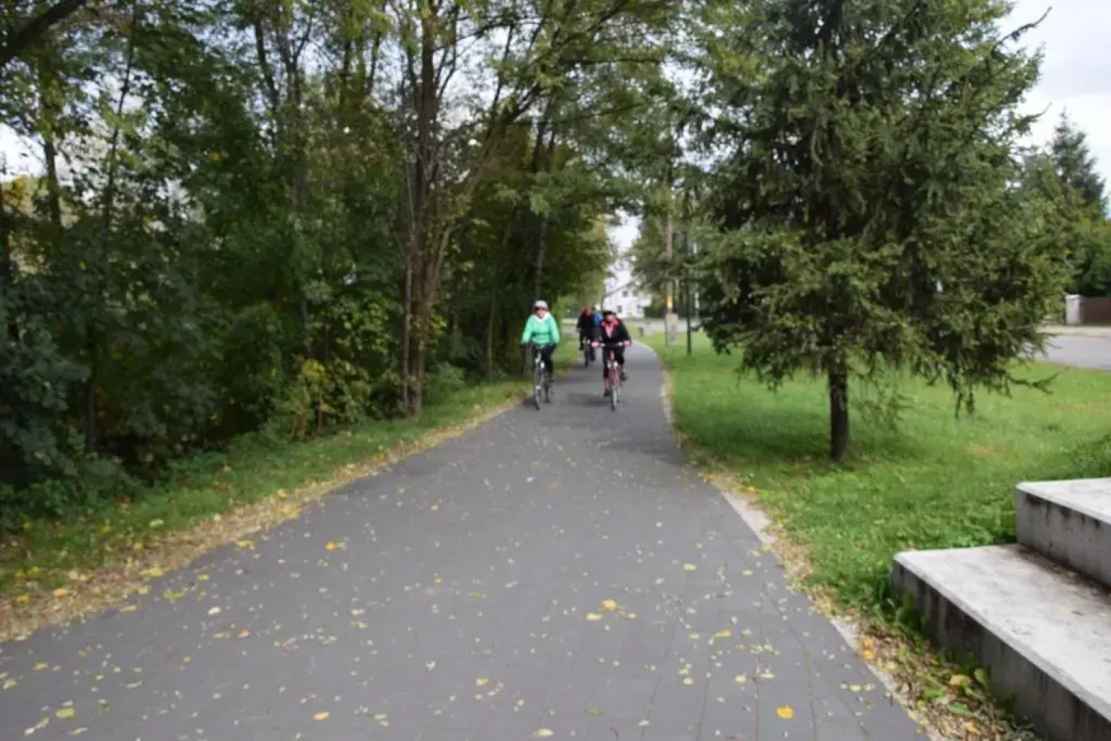 Lawendowe Wzg¿rze 21