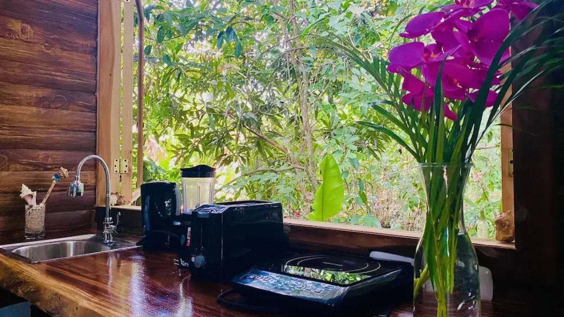 Guest House Pura Vida