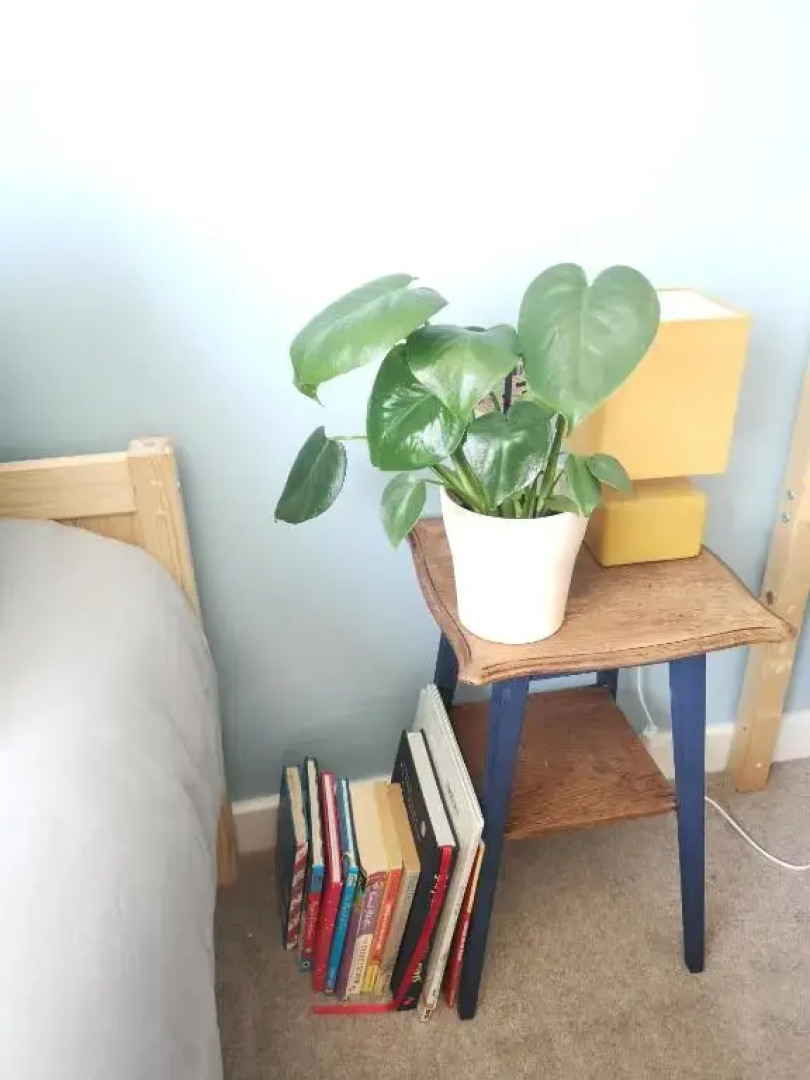 Seaside bungalow with hot tub 5 mins walk to beach