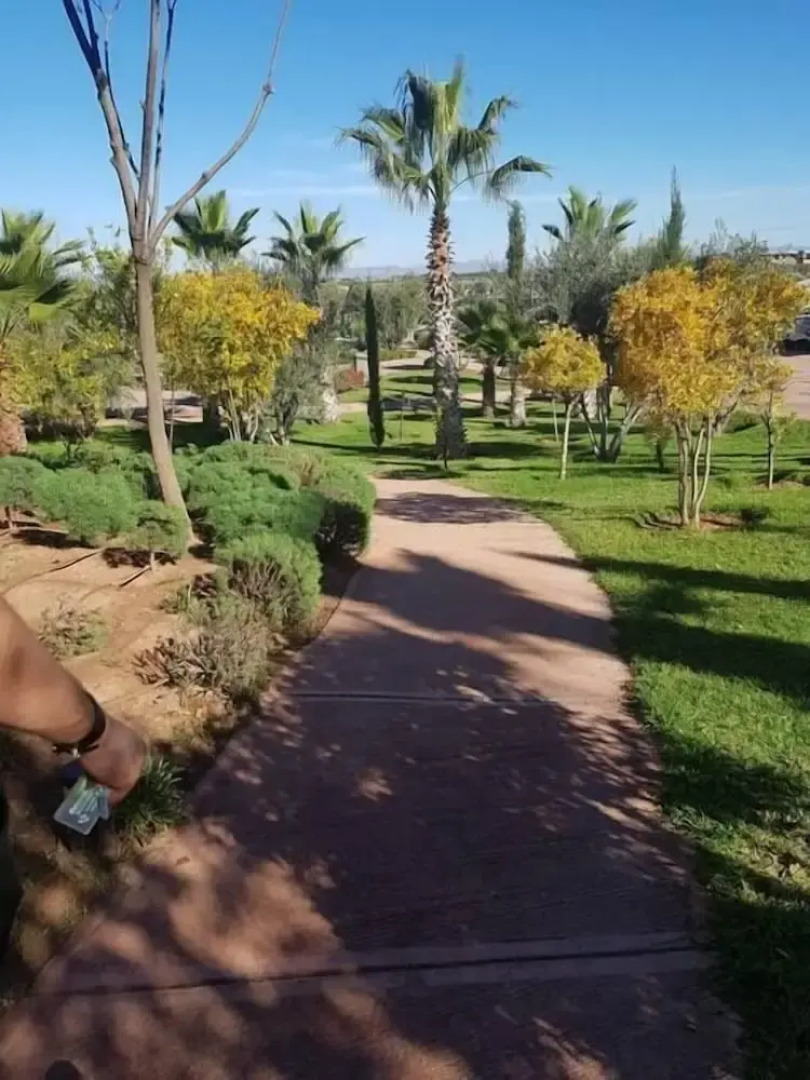 Amine's Pavilion Golf and Waky