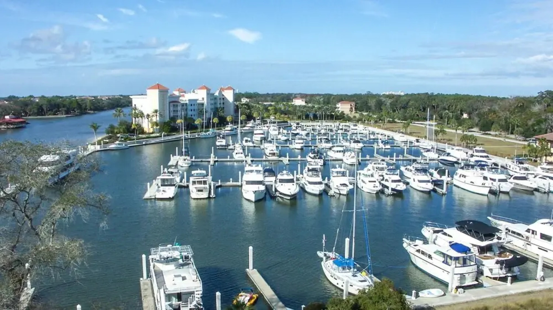 Yacht Harbor