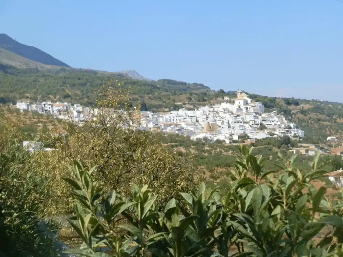 Villa With 4 Bedrooms in Alozaina, With Private Pool, Enclosed Garden and Wifi