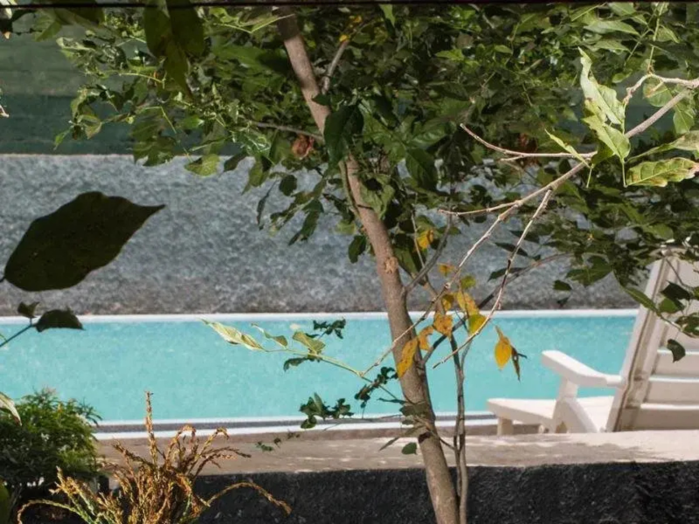 Sigiriya Peacock Homestay