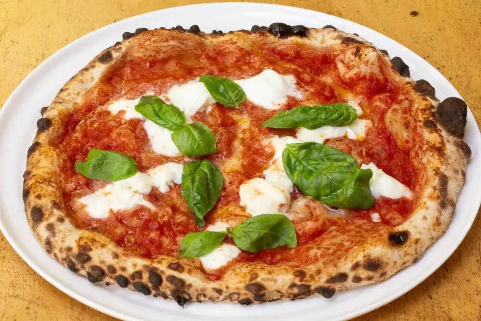 El Nido Jungle Lodge