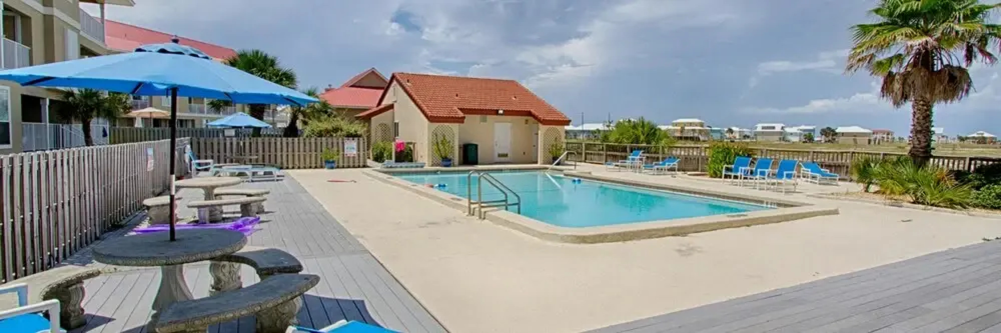 Sunset Harbor Palms 1-0311