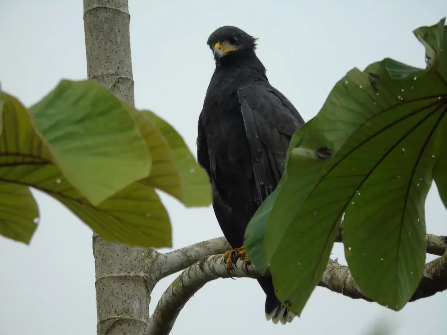El Tesoro de Sir Hotel