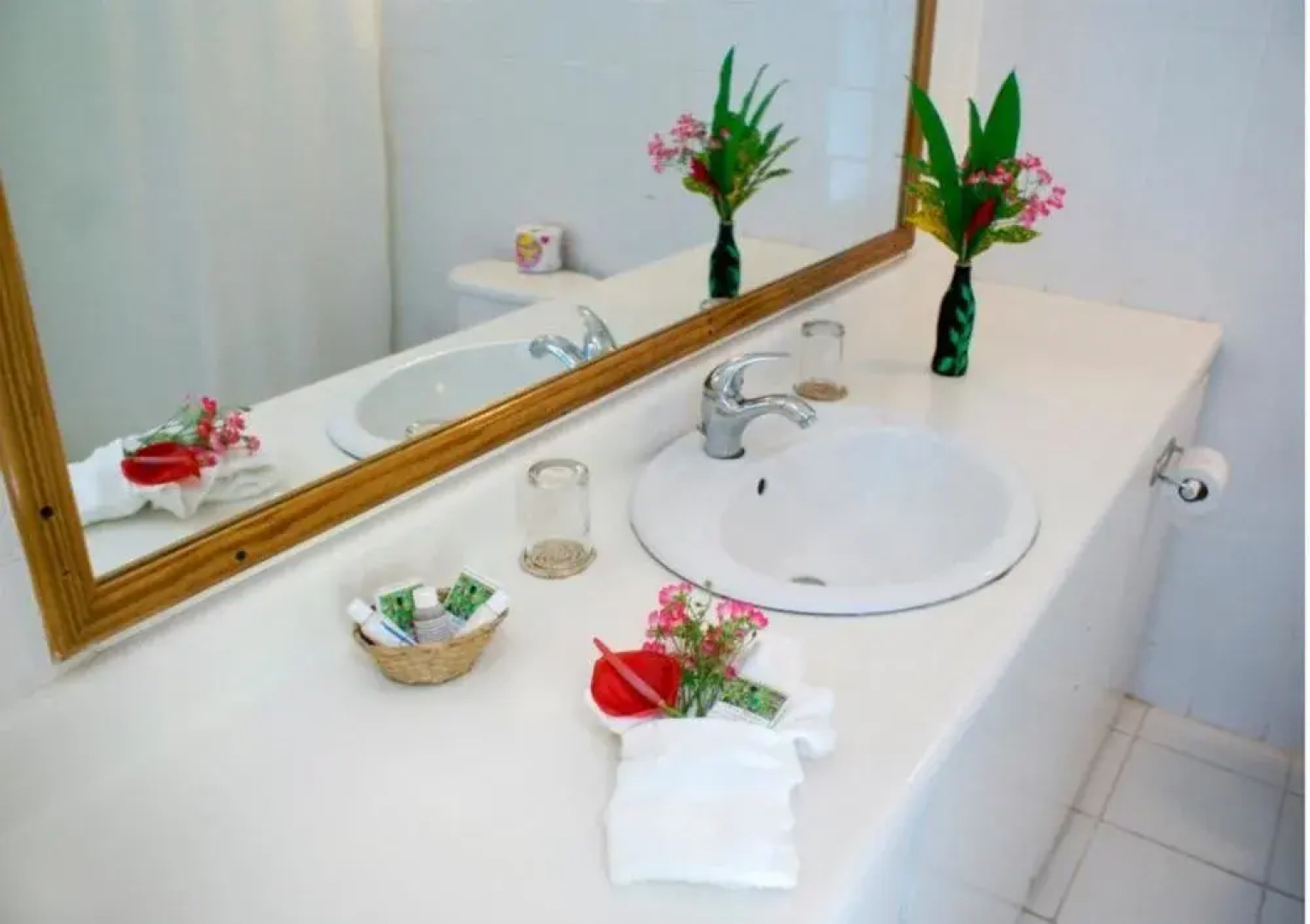 Anchorage Hotel, Whale Watch & Dive Center