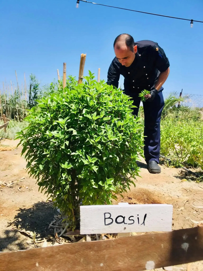 Eco Beach and Magic Garden