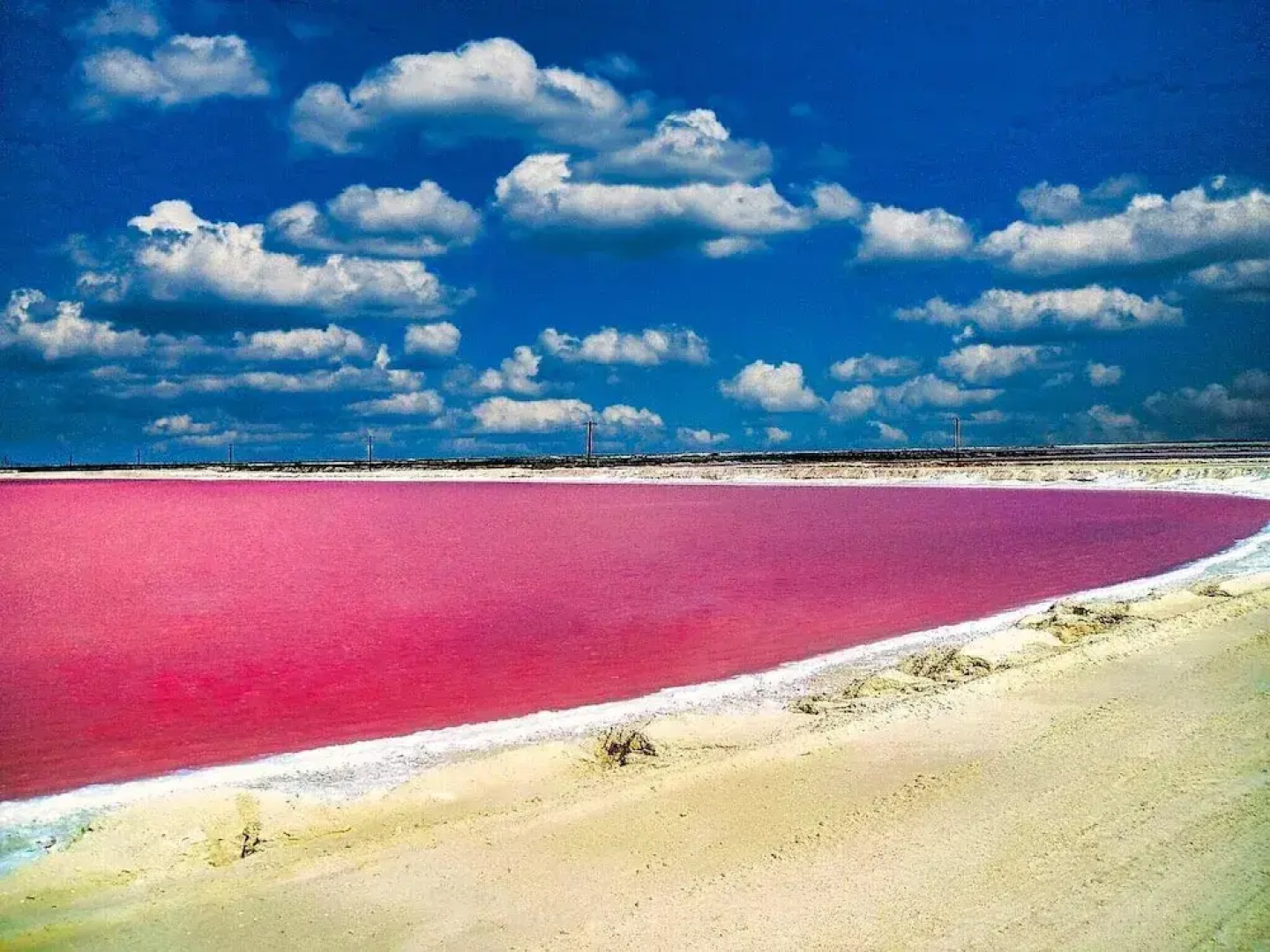 Beachfront Palapa In El Cuyo, Best Views