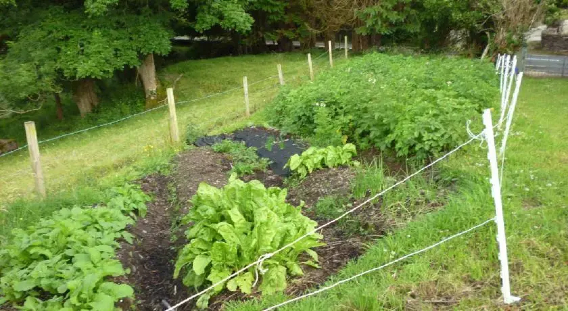 Green Isle Farmhouse