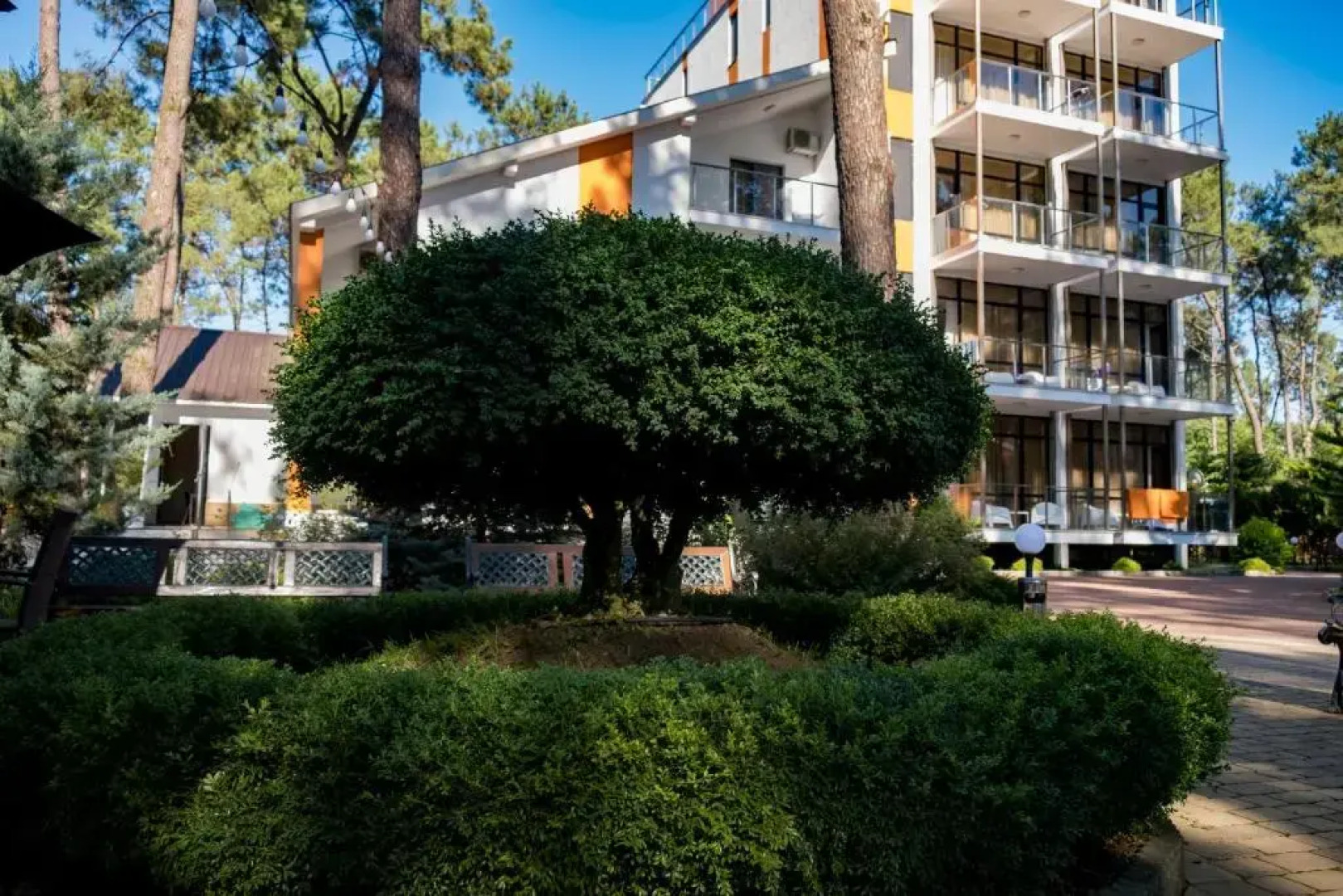 Buxus Hotel Shekvetili