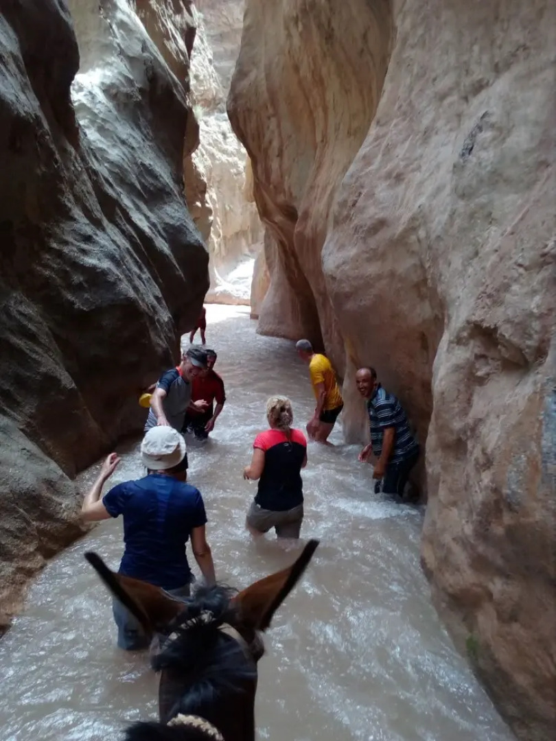 Room in Guest Room - Gîte Tawada - Haut-atlas - Room for 3 People