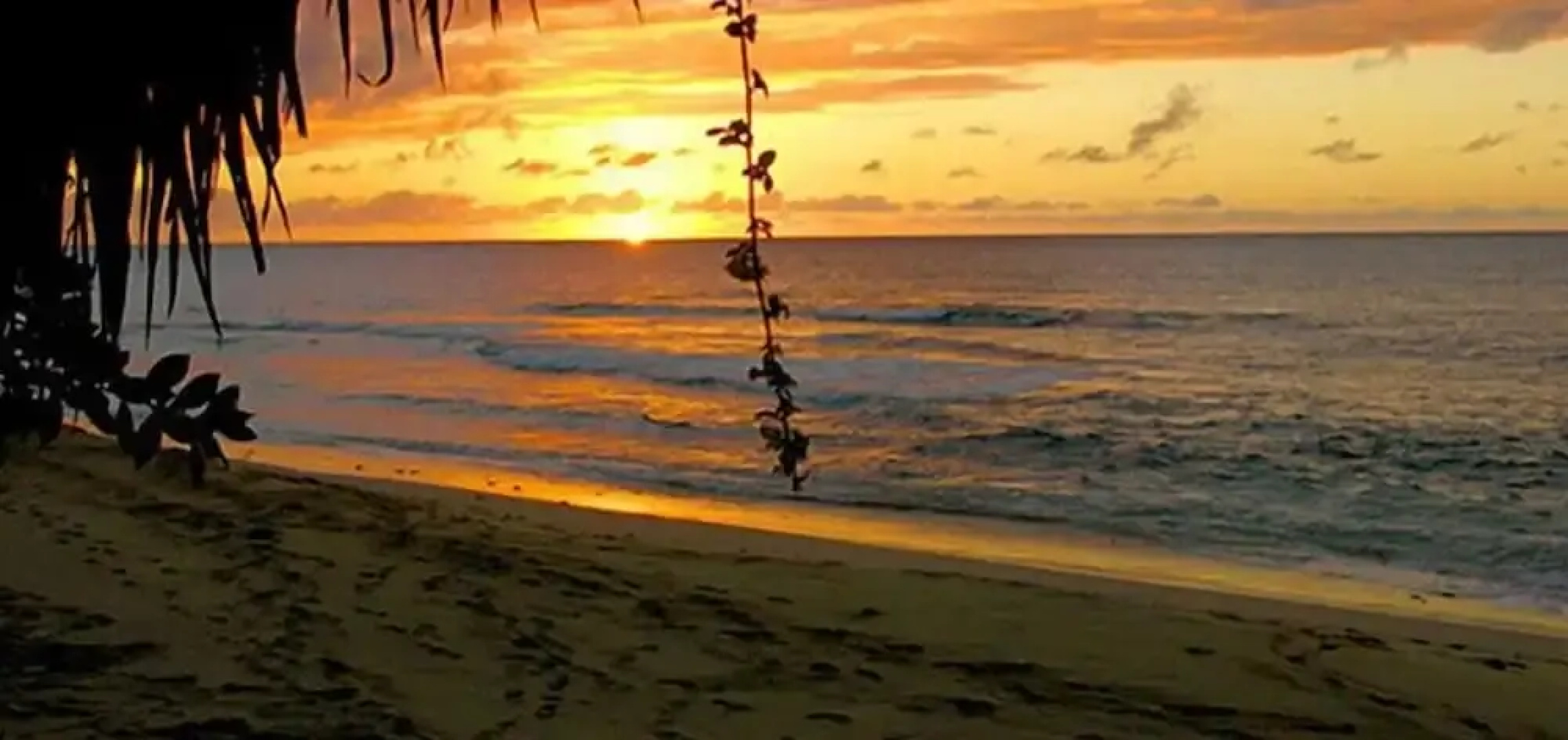 Emerald Beach 4 - Villa Plumbago