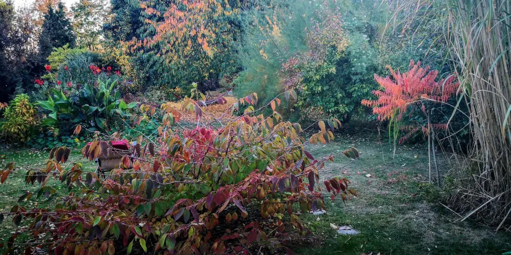 Słoneczne apartamenty