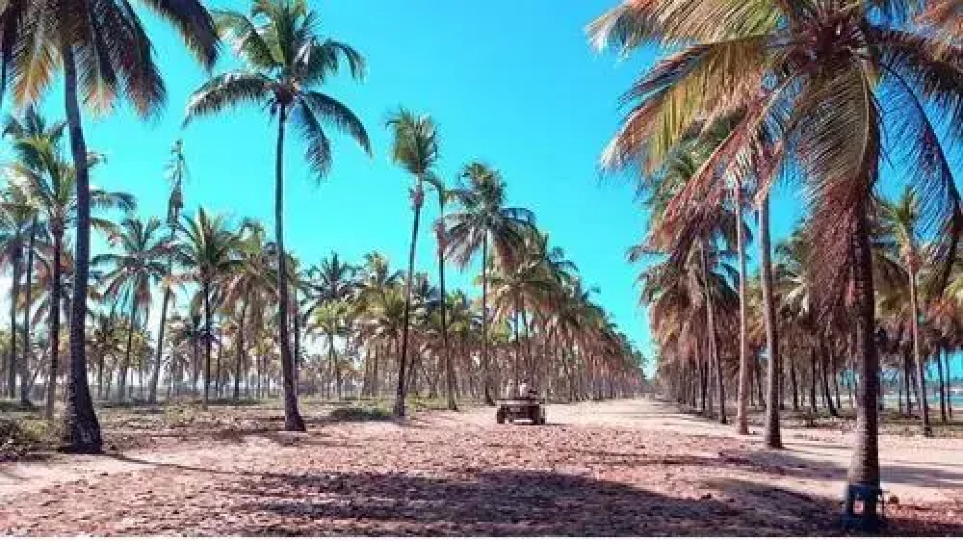 Pousada Flor de Maraca