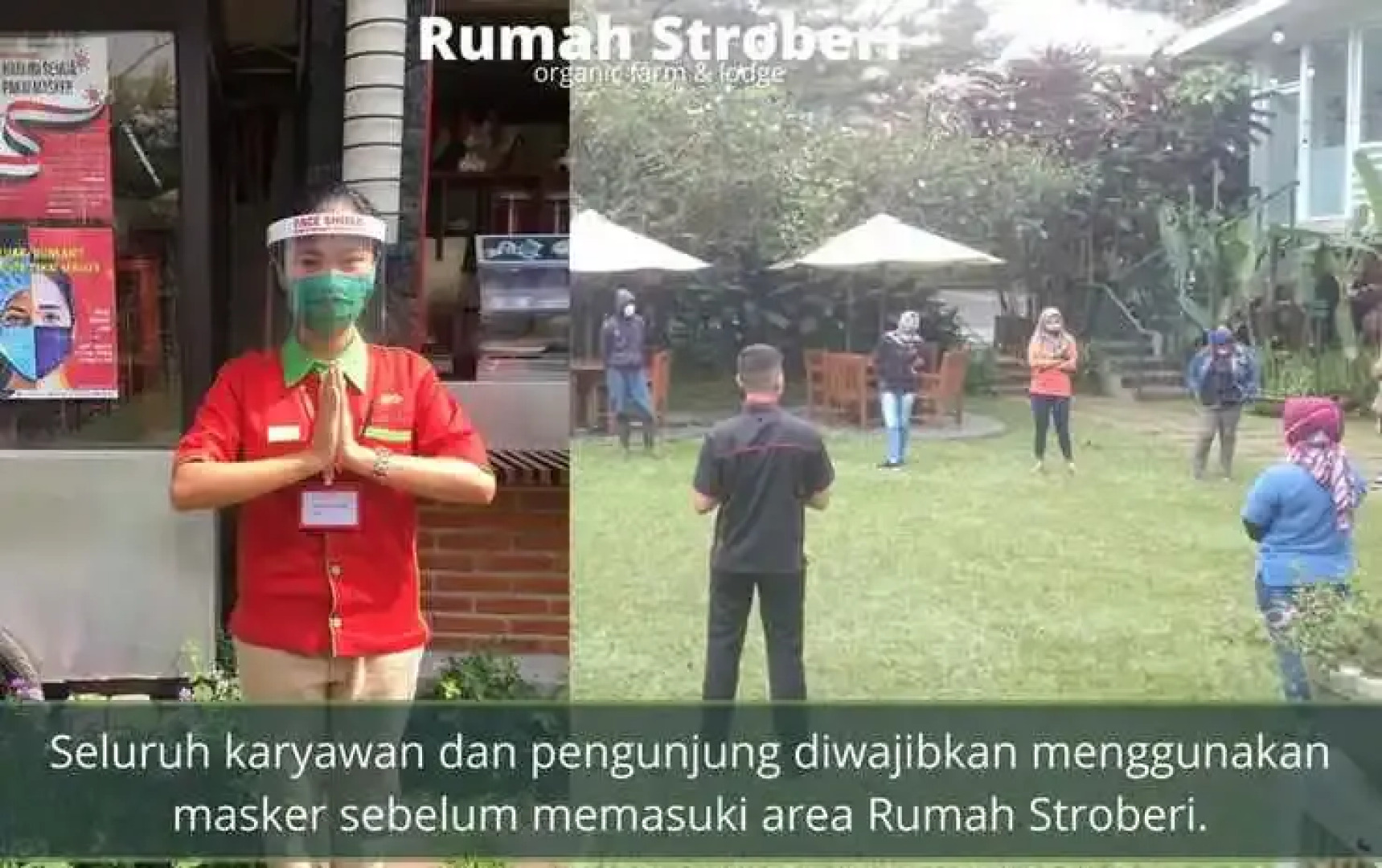 Rumah Stroberi Organic Farm and Lodge