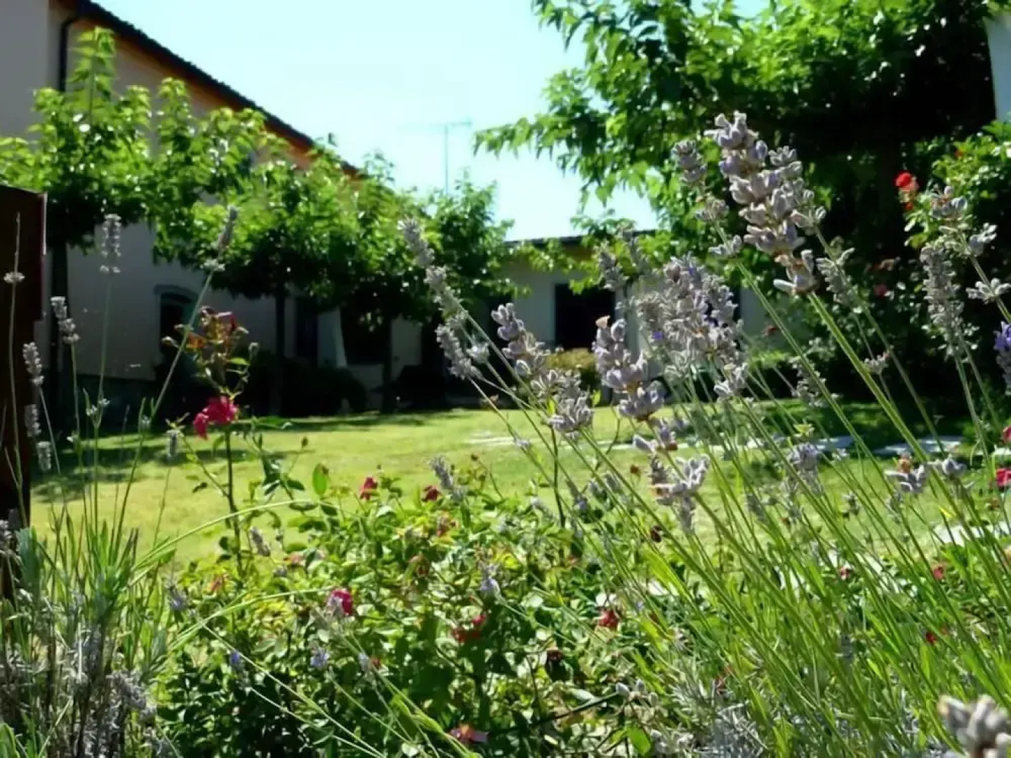 Agriturismo la Torricella