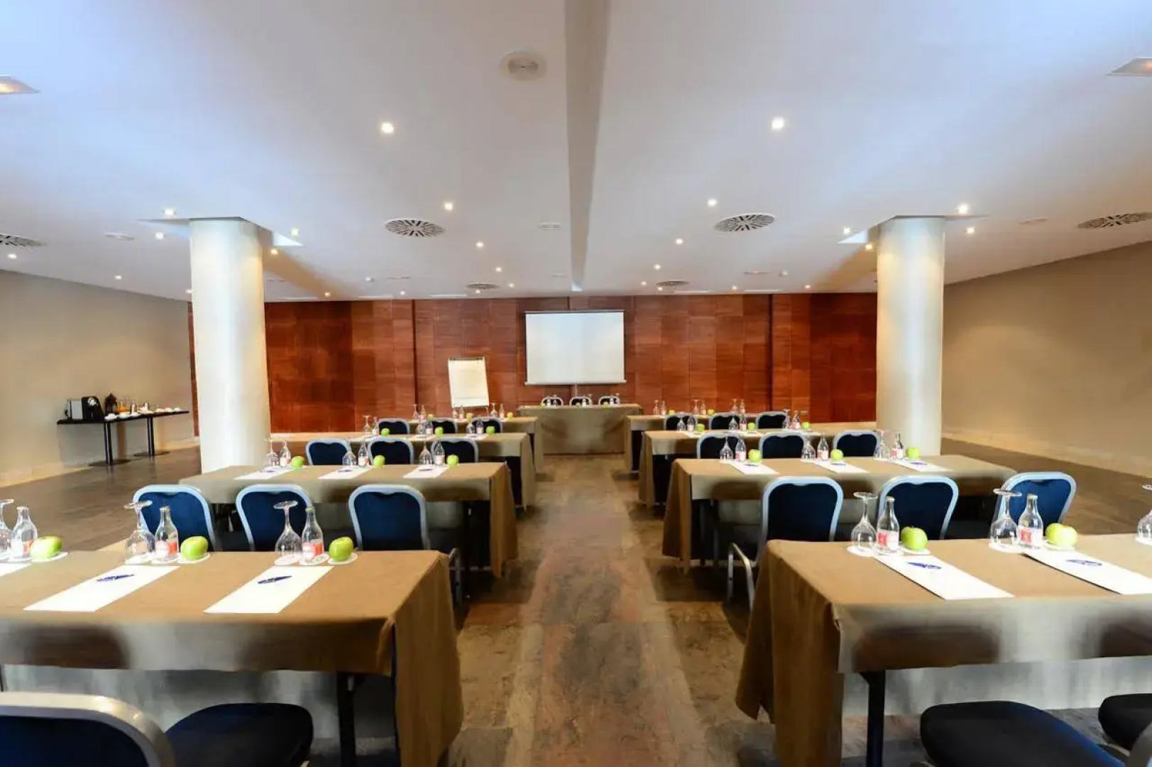 Hotel Balneario Villa de Olmedo