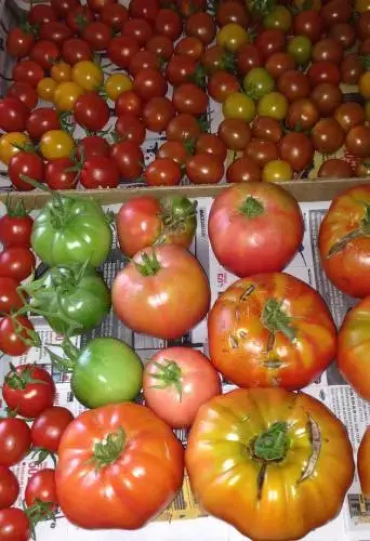 The Rustic House of the Fjord