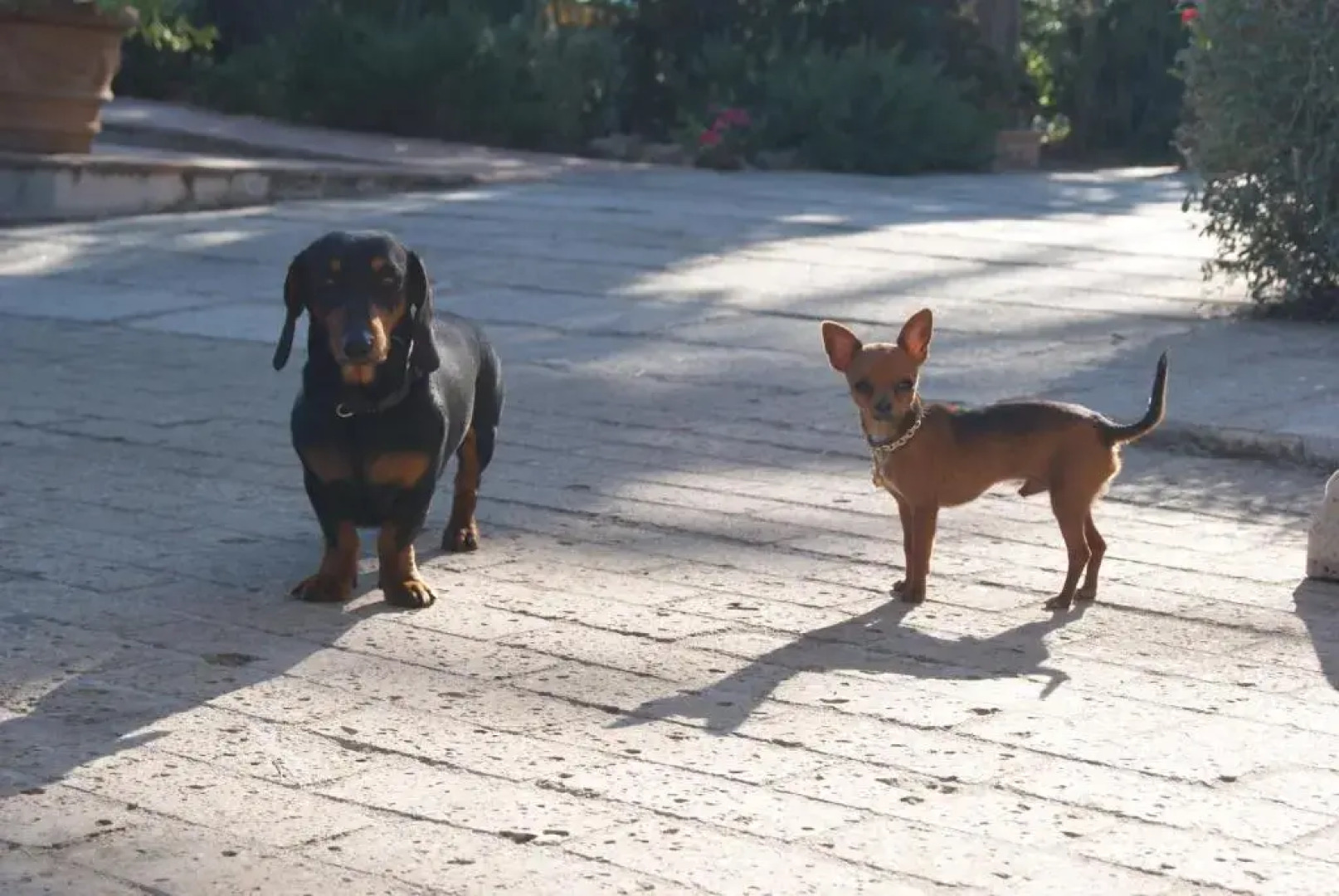 Casa Vacanze Dolce Vita