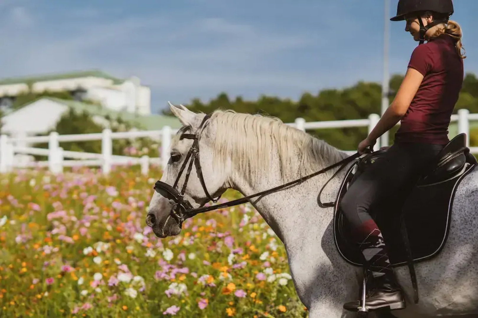 Reiters Finest Family 4s