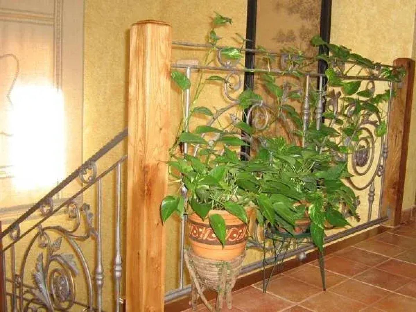 Centro de Turismo Rural El Museo