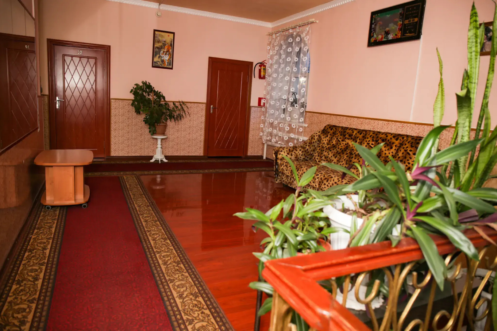 Оазис