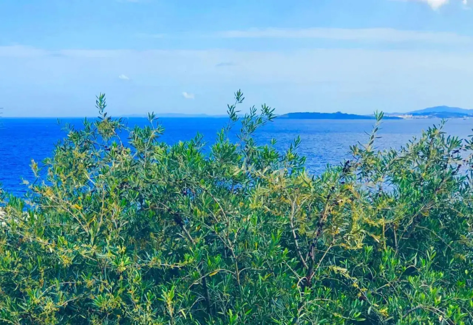 Apartment Nissaki Suite Kalypso