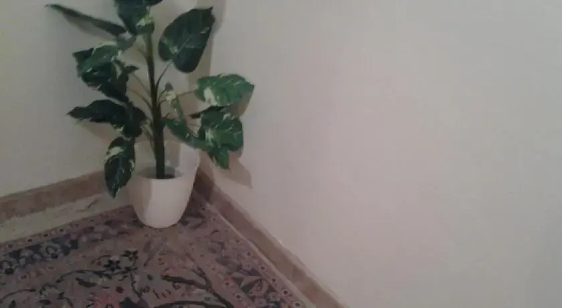 Casa vacanze Dolce Carlotta