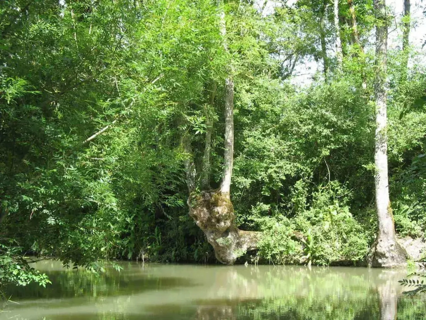 Au Logis du Marais Sauvage