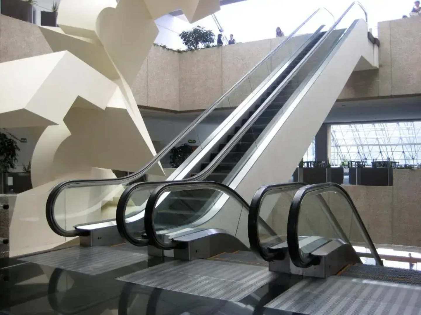 Royal Pedregal Hotel