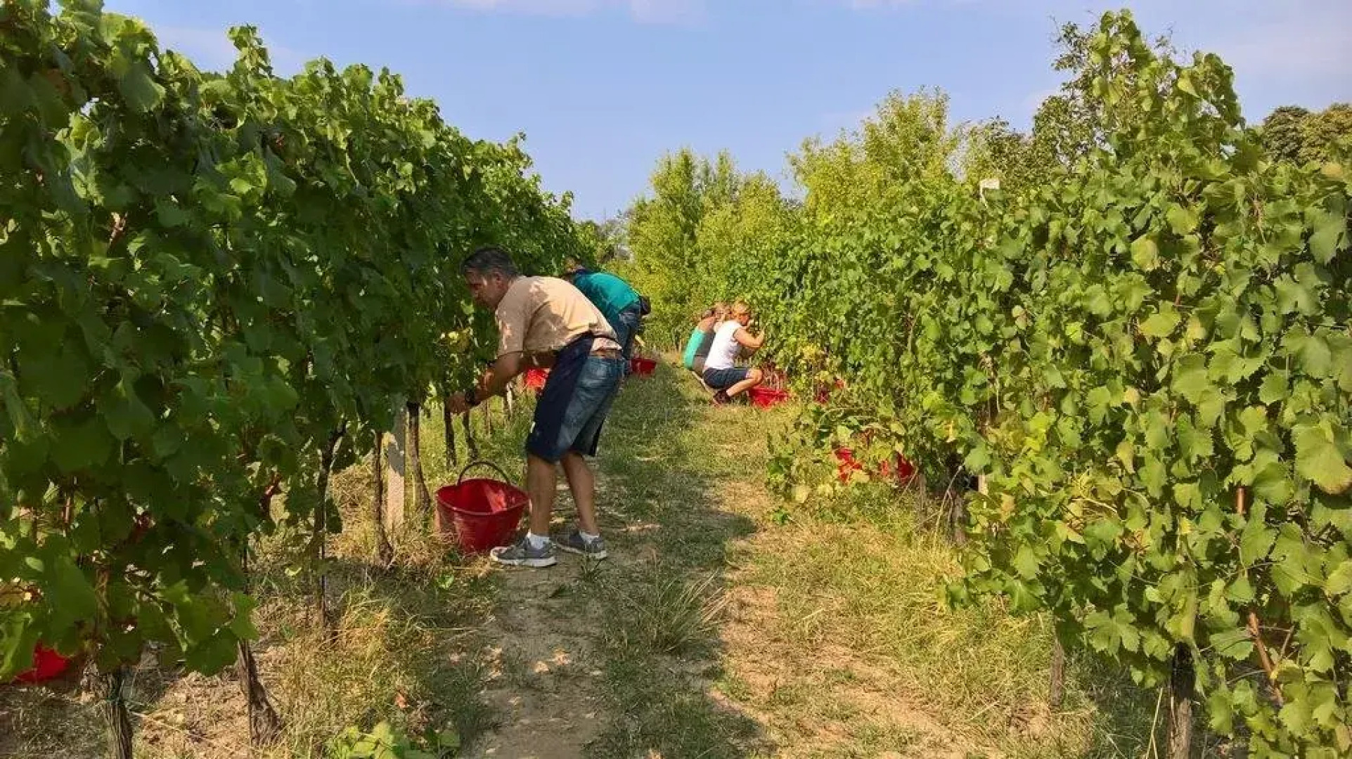 Agriturismo La Rossa