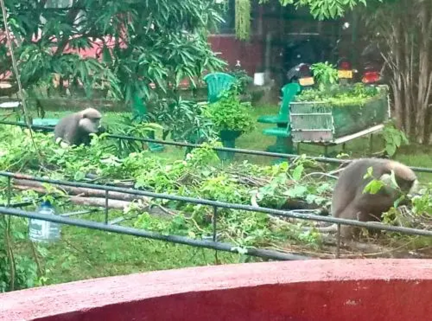 Coca Cola Hostel Malabe