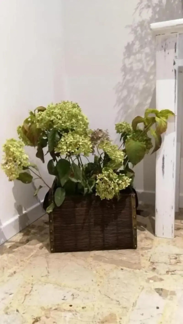 Good Morning Shopping