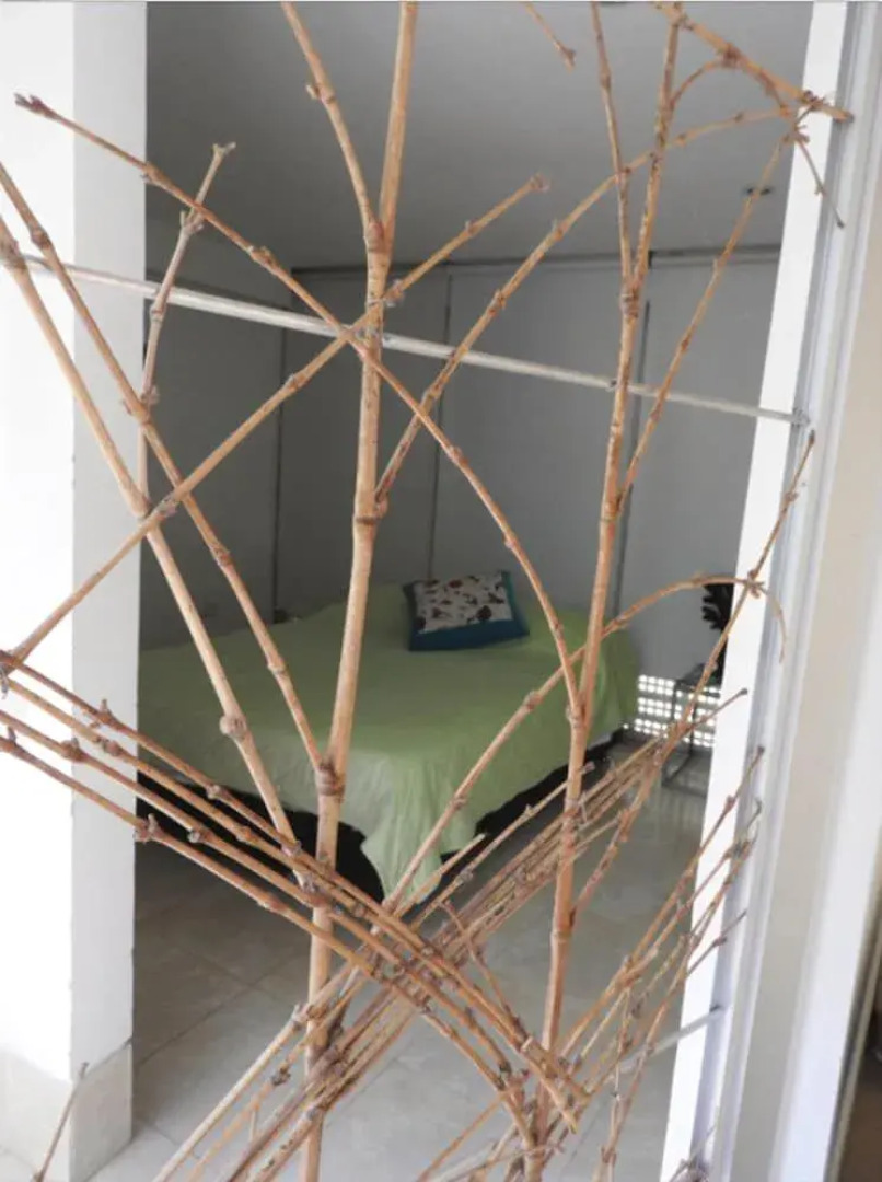 Orquideas del Tolima