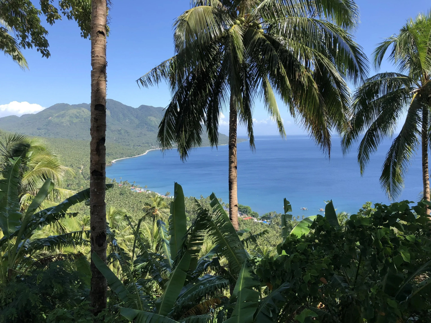 Pintuyan Dive Resort