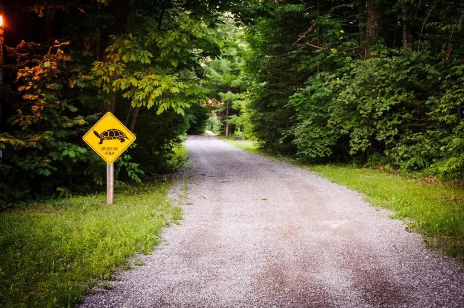 Shambhala Bed and Breakfast