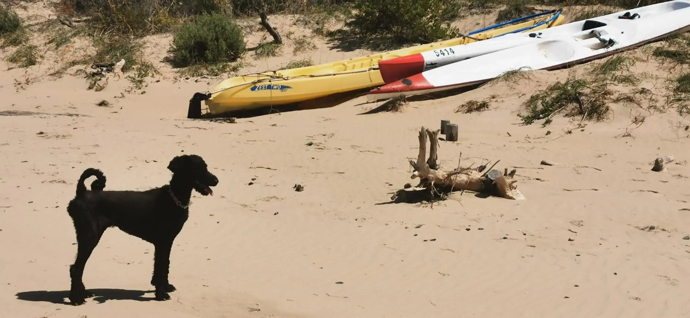 River View Cottage - at the Breede.