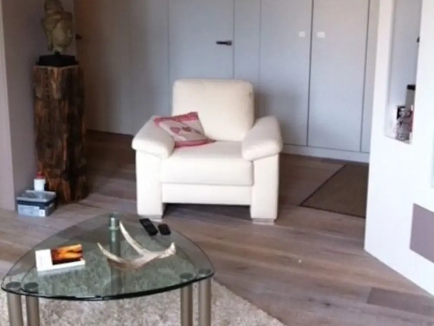 Appartement Grenouillere