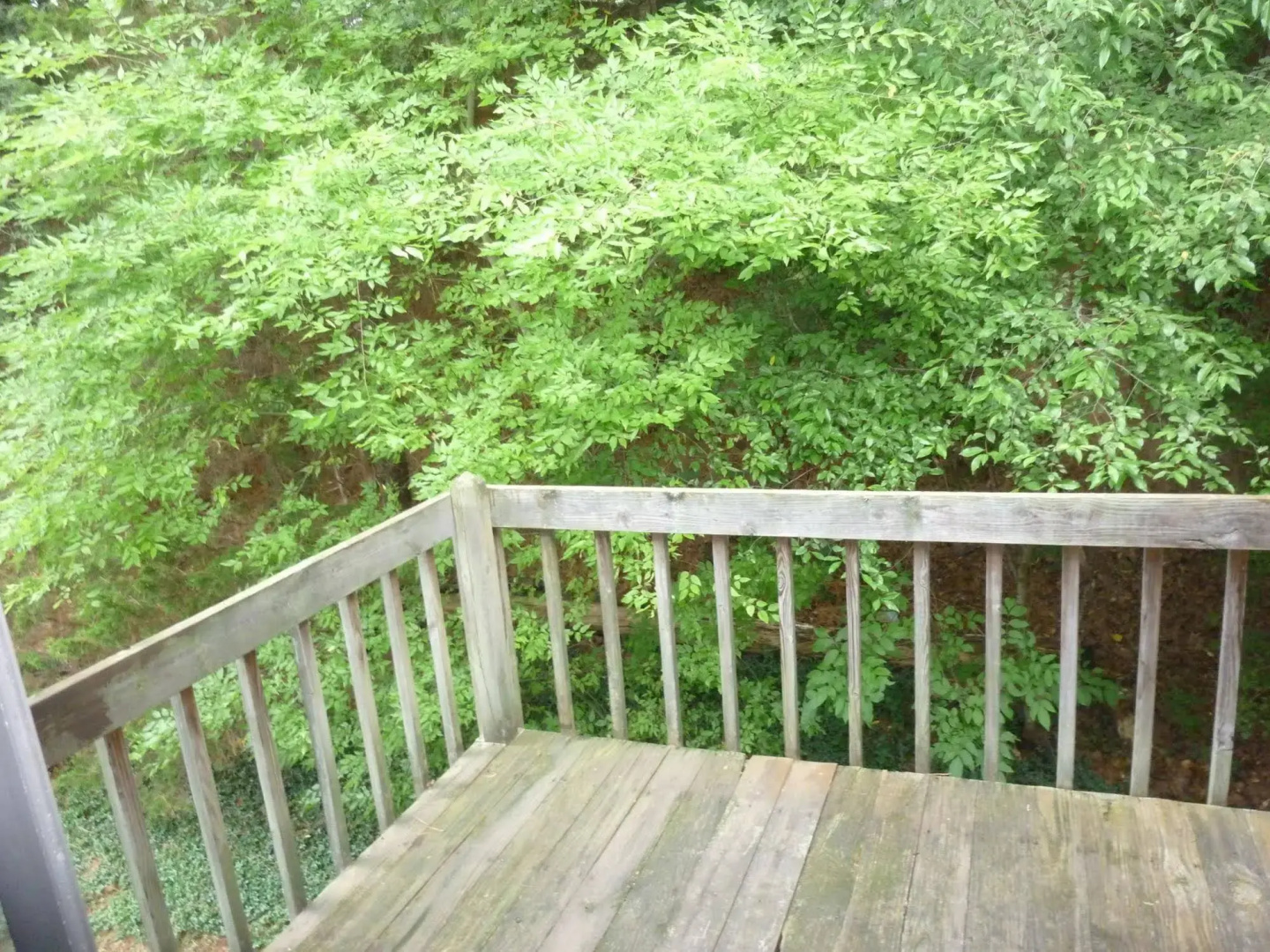 Chapel Hill InnTown