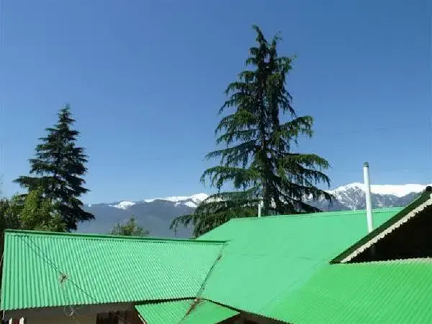 The Pine Palace
