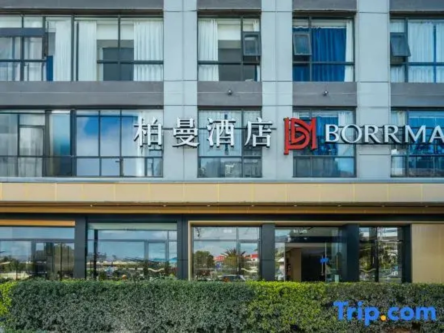 Borrman Hotel (Guangnan)