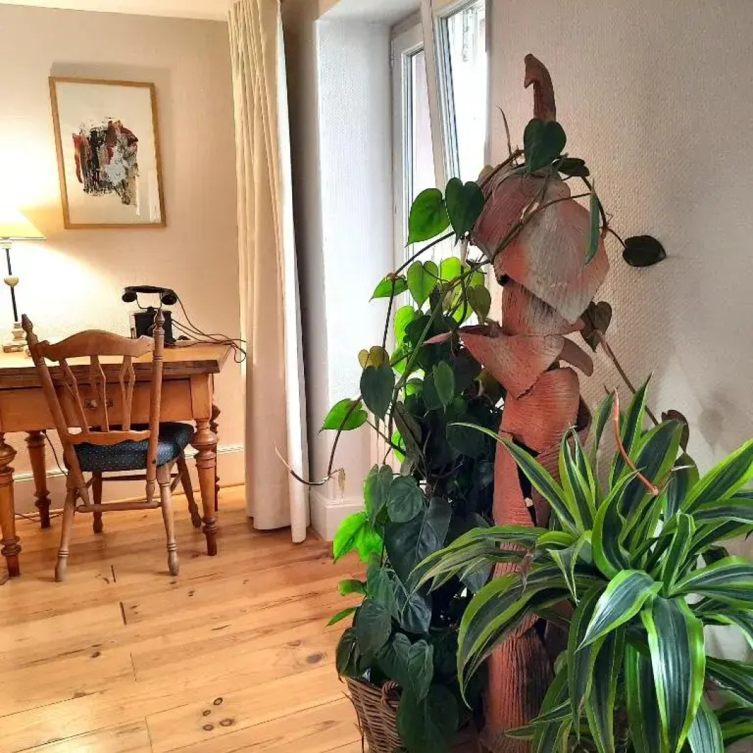 Maison dhôtes La Renardière