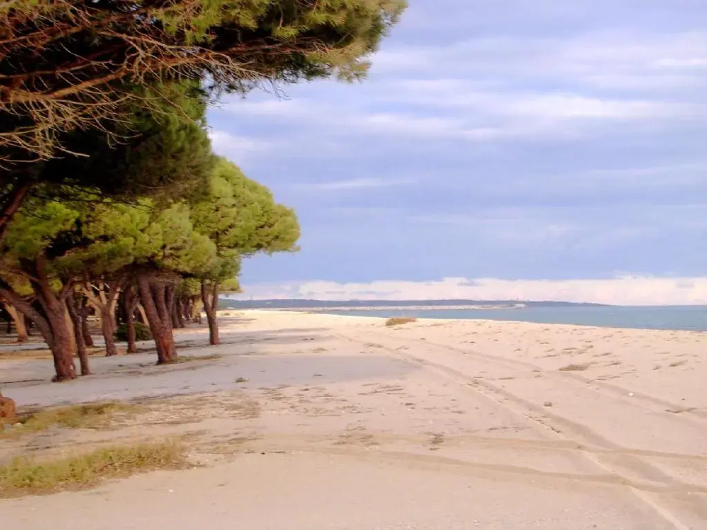 Villa degli Ulivi e delle Rose