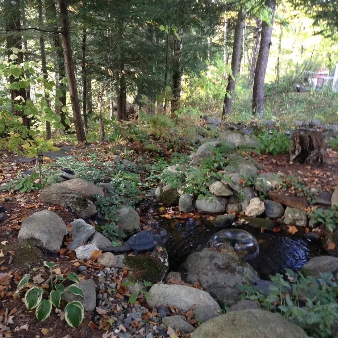 Gite Bijou dans la Forêt