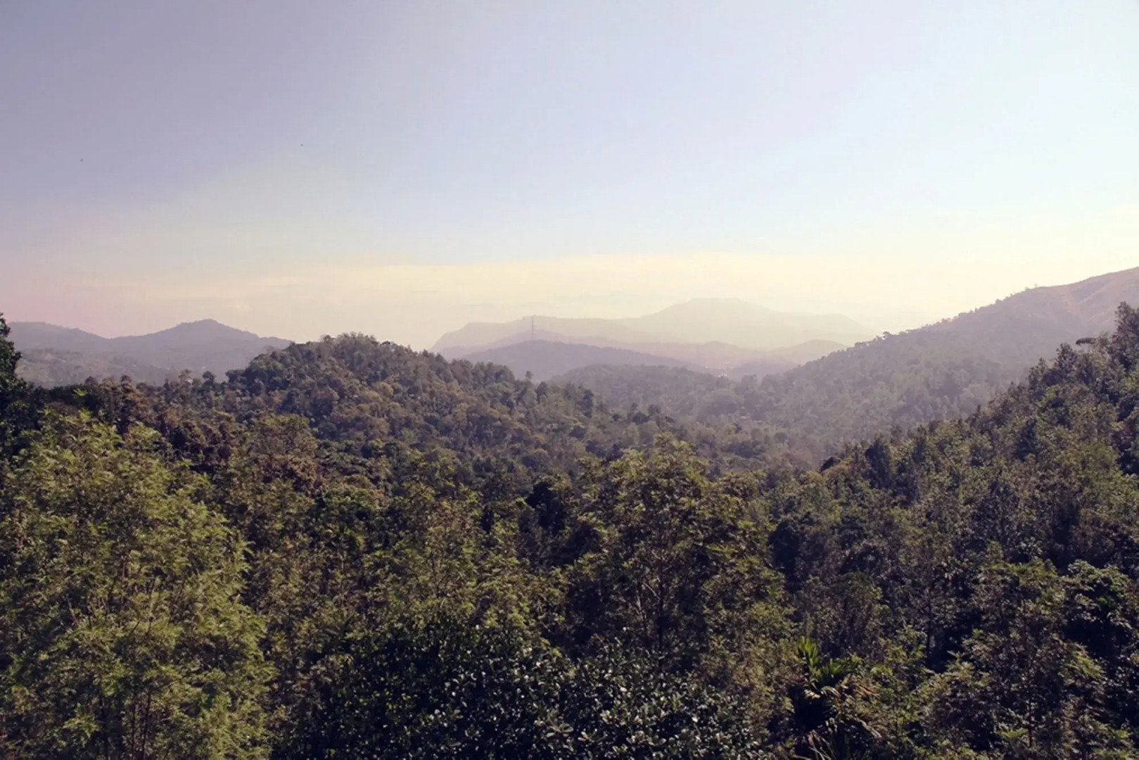 Oxygen Resorts Wild Corridor