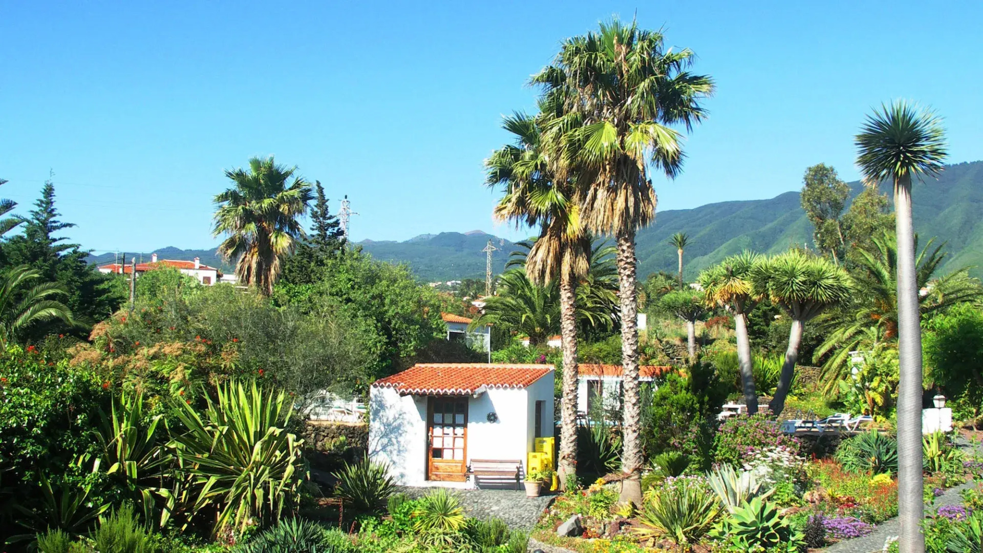 Apartamentos Miranda