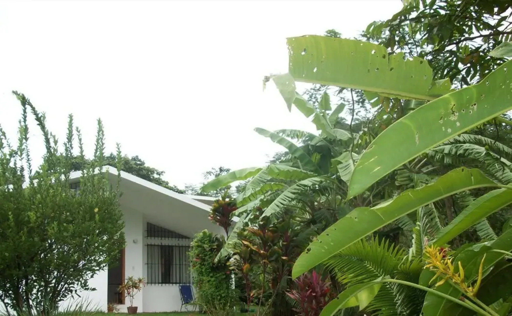 Chanchamayo Cloud Forest San Carlos